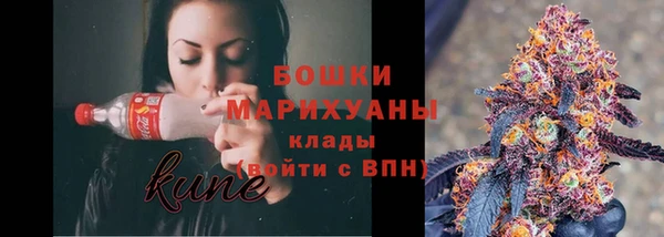 прущие грибы Богданович