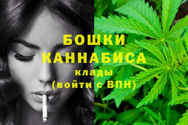 бошки Белокуриха