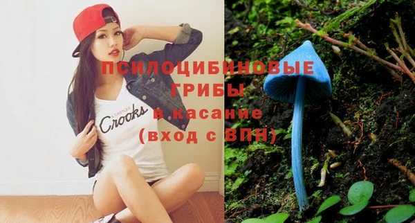 бошки Белокуриха