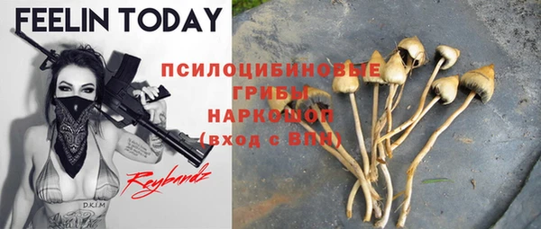 бошки Белокуриха