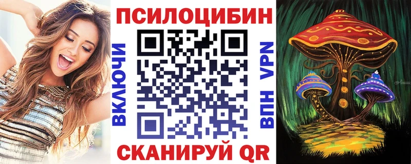 Купить закладки  Пересвет  Псилоцибиновые грибы мицелий 